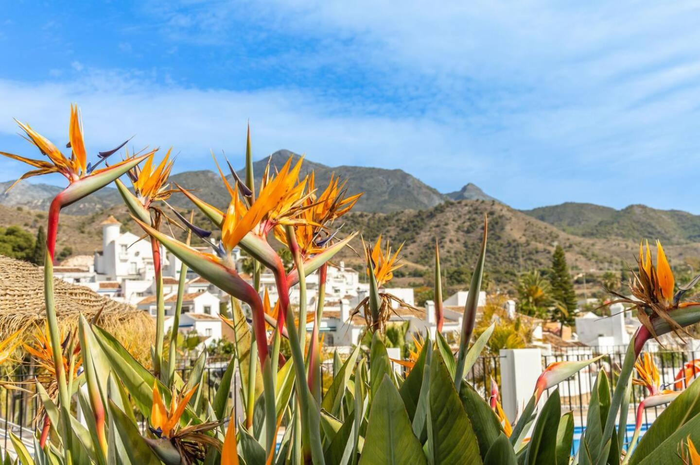 New With Sea View, Big Terrace & Pools Nerja